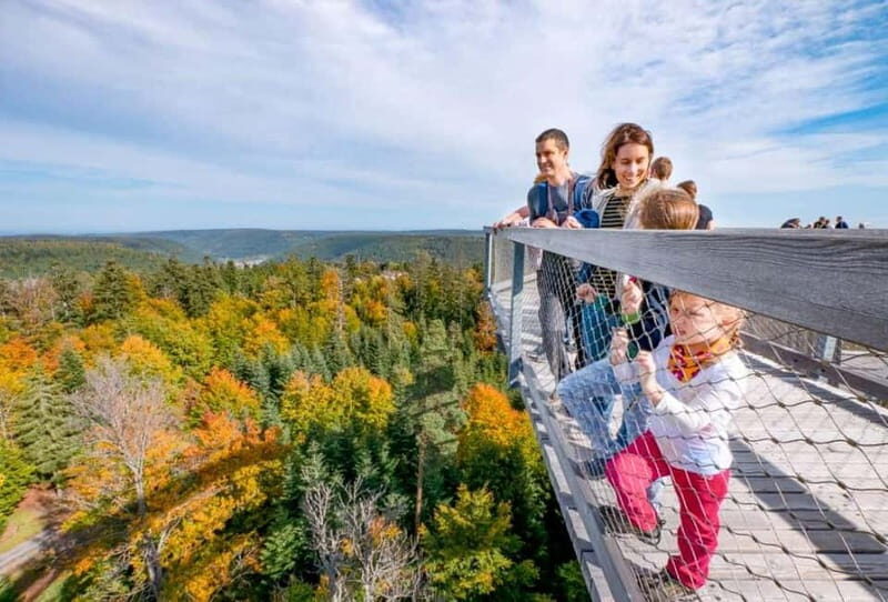 Black Forest: Treetop Walk & Lookout Tower Experience - Interactive stations and the squirrel mascot: learning without the lecture