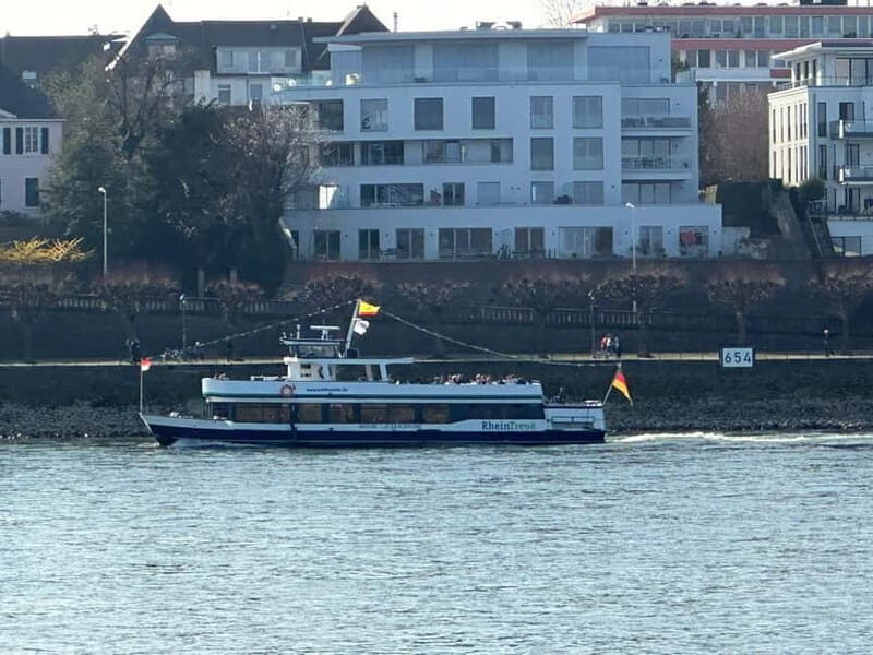 Bonn: Winter tour by boat with mulled wine - Key points to know before you go