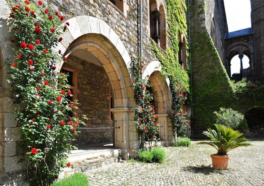 Braunfels: Guided Tour of the Fairytale Castle Braunfels - Price and Value: A 50-minute guide for about $10