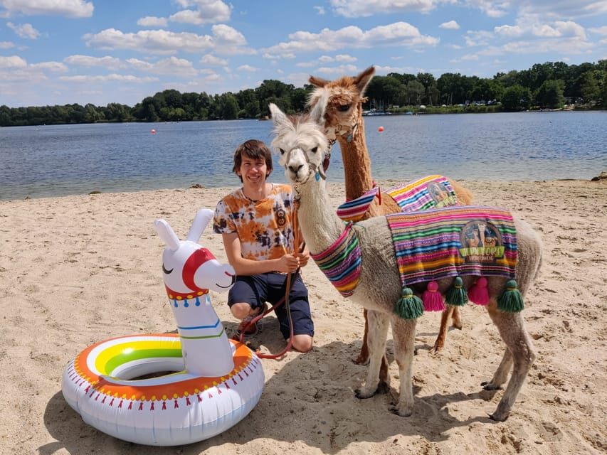 Braunschweig: Alpaca Trekking Tour - Who this is best for (and who should skip it)