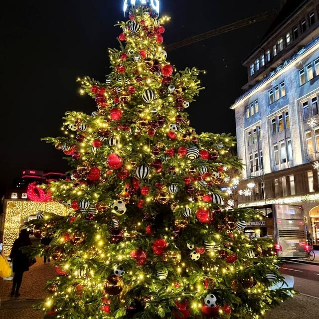 Christmas market lights tour bus through Berlin, free mulled wine (2.5 hours) - Bebelplatz: an elegant Christmas backdrop with opera and cathedral nearby