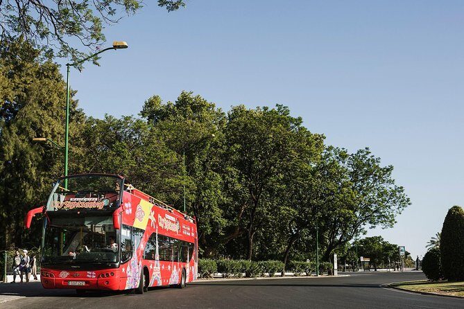 City Sightseeing Potsdam Hop-On Hop-Off Bus Tour - English Audio, Live Guides, and Why It Can Feel Uneven