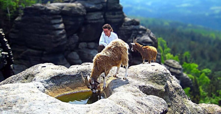 Climb the mountains together with goats - Key highlights you’ll actually care about