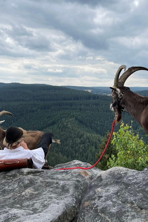 Climb the mountains together with goats - Who this goat hike is perfect for