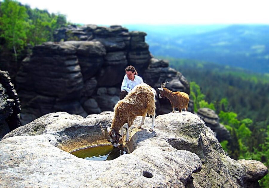 Climb the mountains together with goats - Start at Ziegen-Alm / Sportplatz Pfaffendorf and get into goat mode fast