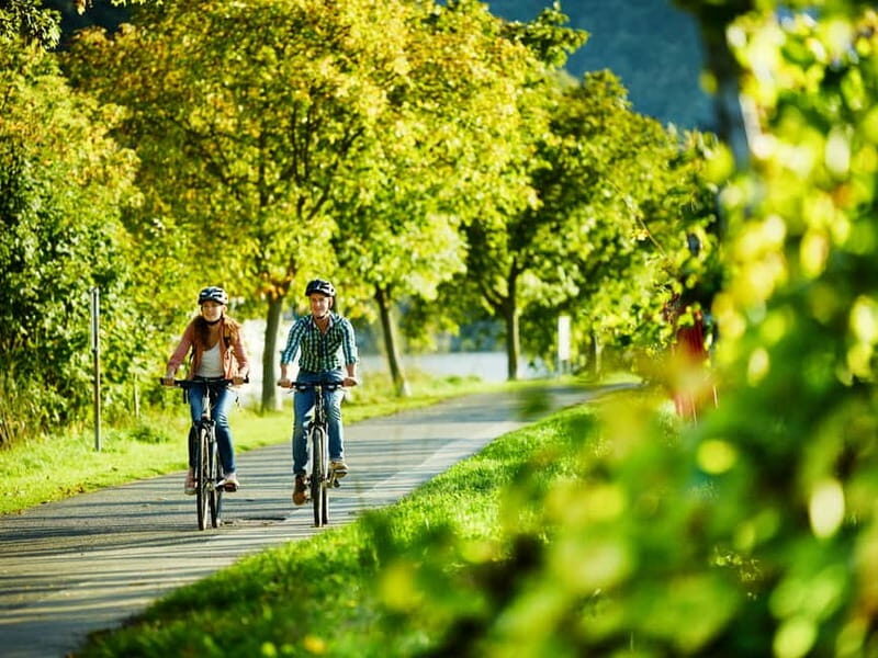 Cochem: Bike and Boat Tour with Picnic and Wine Tasting - Why This Moselle Day Works (Bike, Boat, Picnic, Wine)
