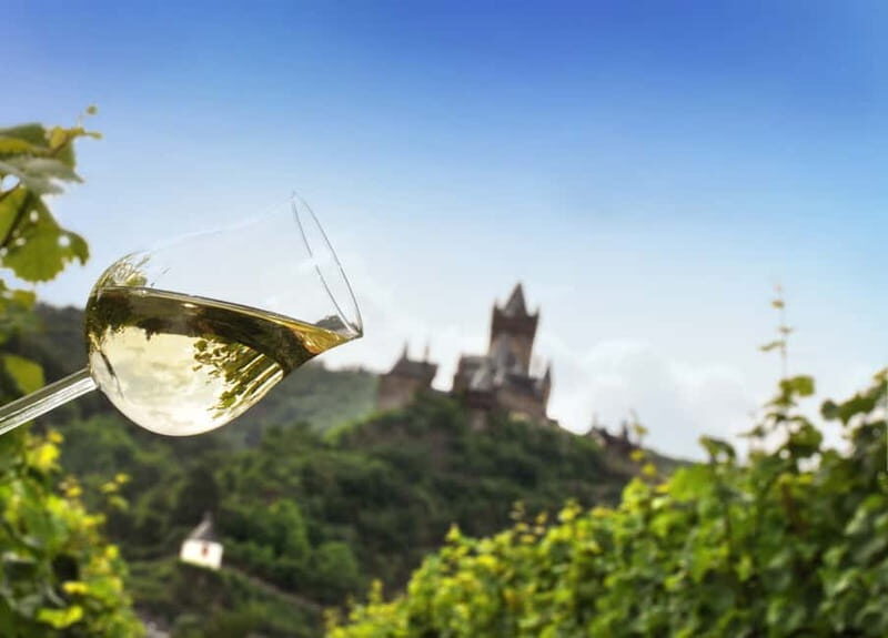 Cochem, Mosel: Mit dem Kanu zum Winzer - Paddling Past Vineyards: What the River Views Are Like