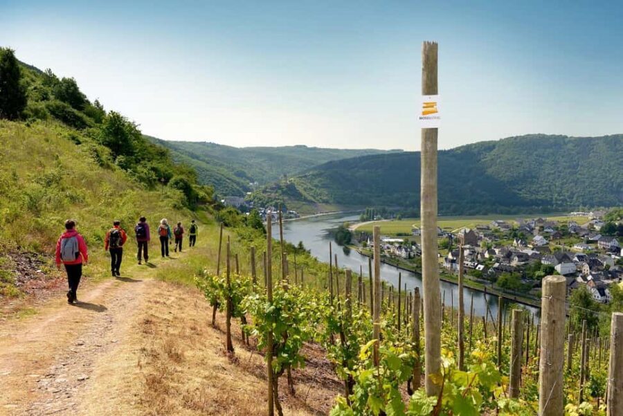 Cochem, Moselle: Wine experience hike with boat trip - The 6-Minute Transition: Finding the Winery After You Land