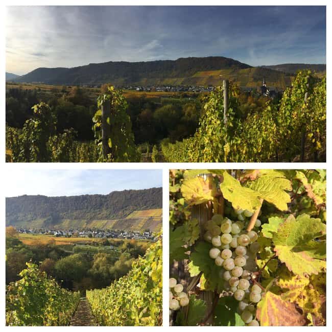 Cochem, Moselle: Wine experience hike with boat trip - Should You Book This Moselle Wine Experience From Cochem?