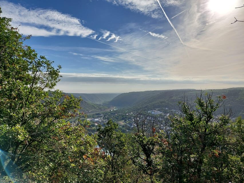 Cochem, Moselle: Wine experience hike with boat trip - The Vineyard Hike With the Winemaker: What You Actually Learn on Foot