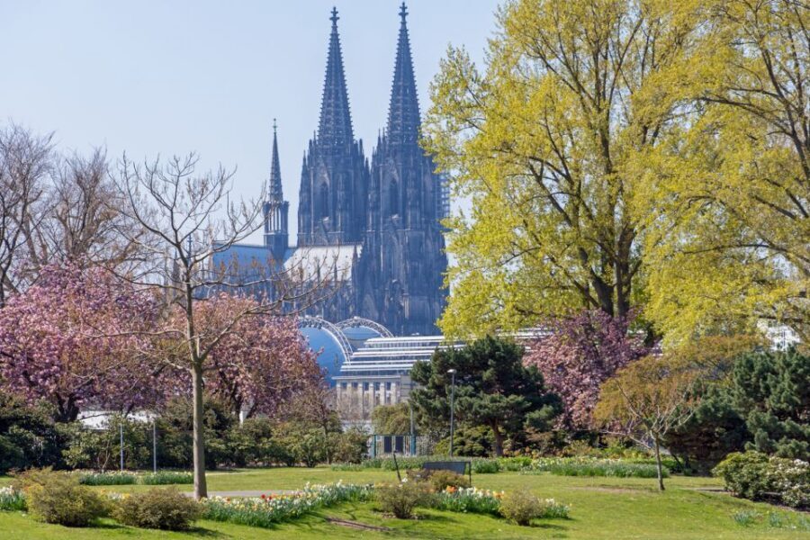 Cologne: City Highlights Segway Tour - Price and Value for a $93, 2-Hour Highlights Loop