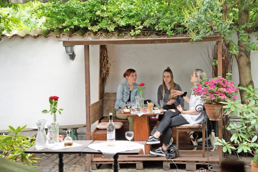 Cologne-Nippes: Summer wine party in the frenchstyle garden - The Food Pairing: Cheese Sticks, Salami, Olives, and Baguette