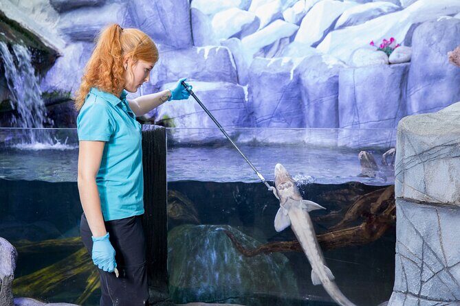 Combi Ticket: LEGOLAND Discovery Centre & SEA LIFE Oberhausen - Price and value at about $39: when the combi ticket pays off