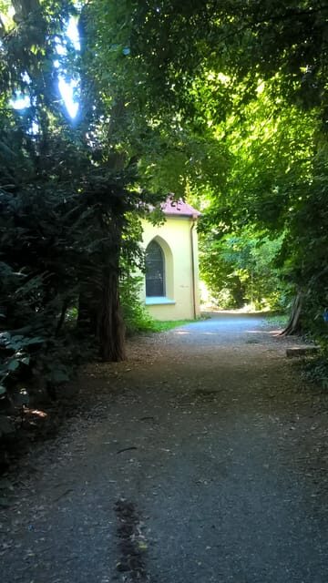 Constance: Private City Tour – The Mystical Constance - Language, guide style, and what that means for your experience