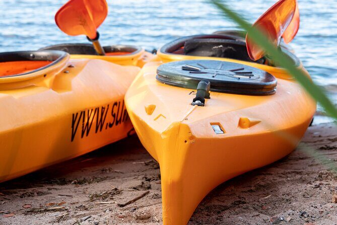 Cultural kayak tour in Stralsund - Price and value: is $36.01 worth it?
