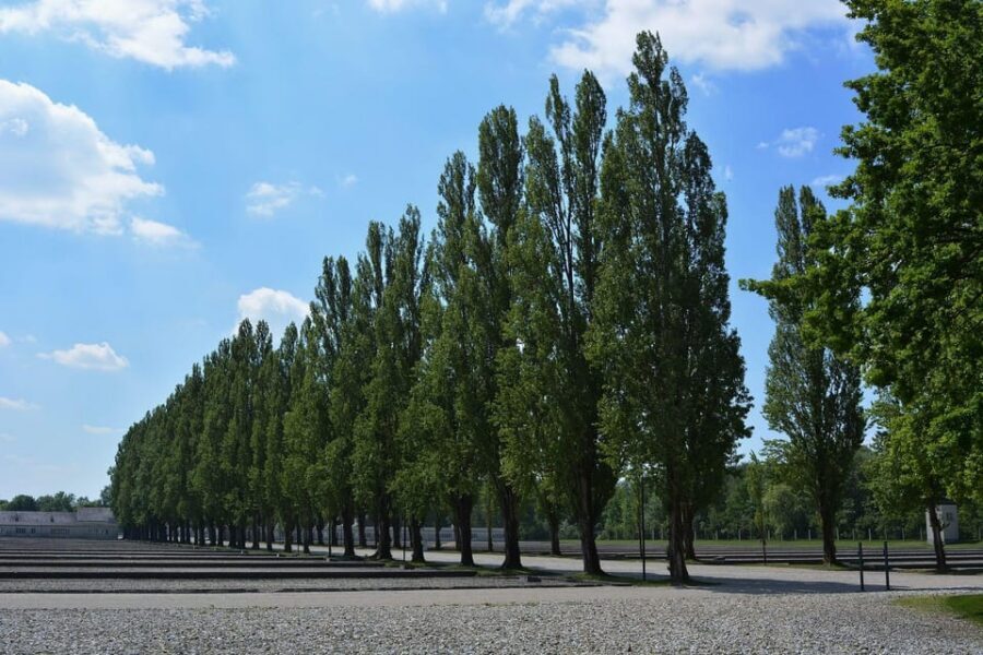 Dachau Memorial Public Tour - Who this Dachau memorial tour fits best