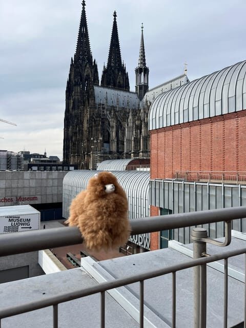 Day tour Aachen & Cologne from Brussels - Private transportation from Brussels: less friction, more sightseeing