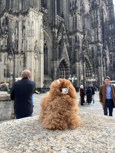 Day tour Aachen & Cologne from Brussels - Cologne at 3:30: Cathedral first, then Old Town atmosphere