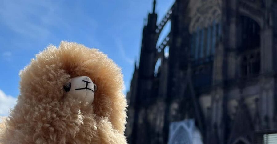Day tour Aachen & Cologne from Brussels - Aachen from 10:00: a guided start plus real room to wander
