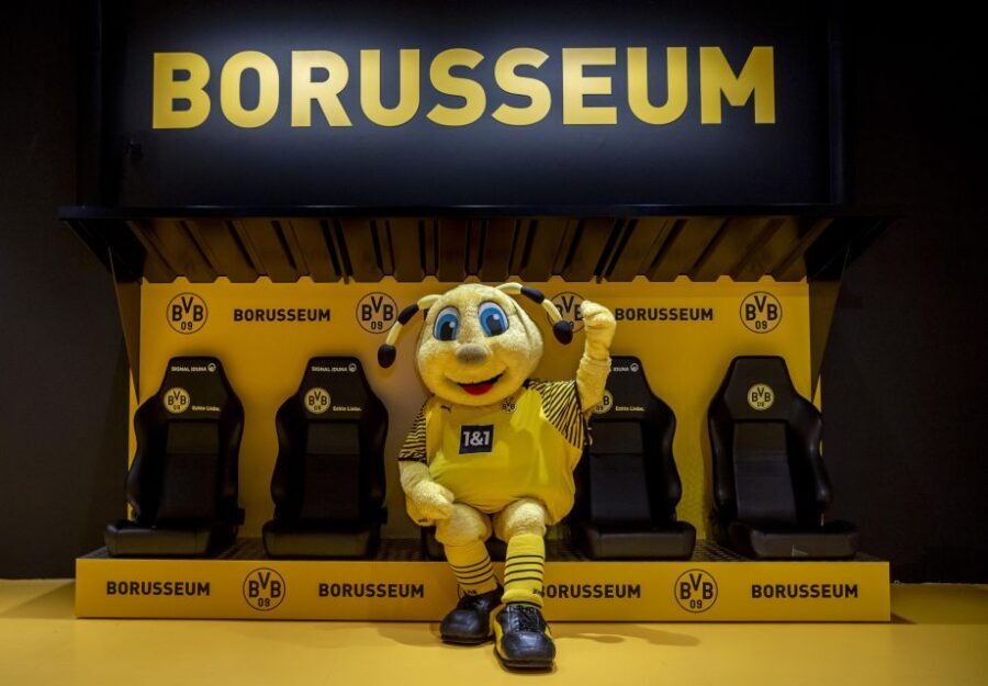 Dortmund: Borusseum Borussia Dortmund Museum Entry Ticket - Key moments that make this ticket worth it