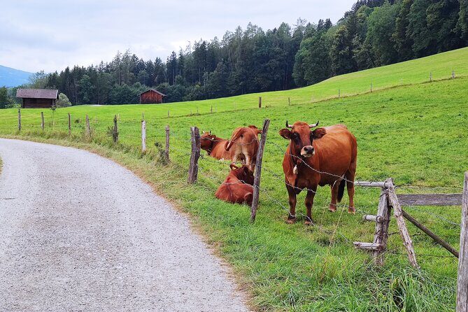 Dragon Slayer Way Beer Hike Food Experience Private Tour (departs Munich) - What Makes the Dragon’s Way Trail Worth It