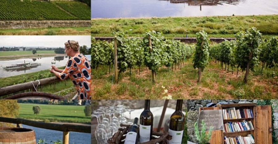 Dresden Bike Tour with Wine Tasting - Pace, comfort, and the one realistic concern