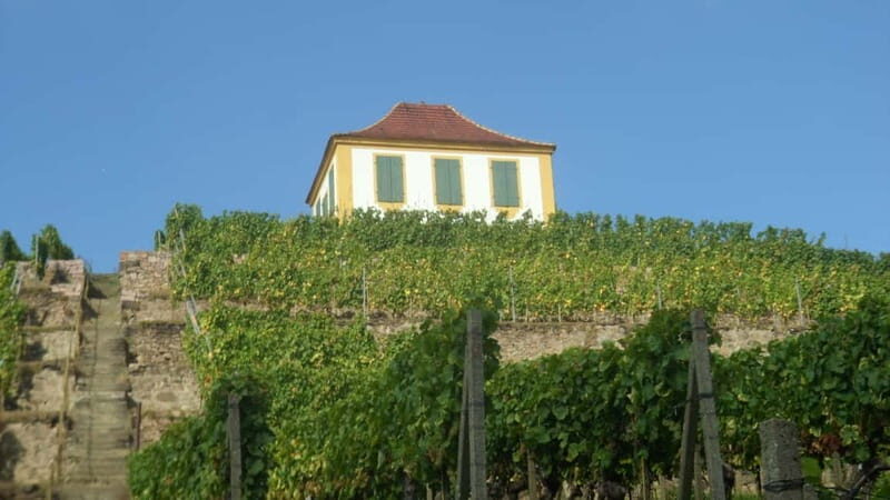 Dresden: Boat Cruise with Wine Tasting and Snacks - Why This Elbe Paddle Steamer Day Feels More Like Local Time