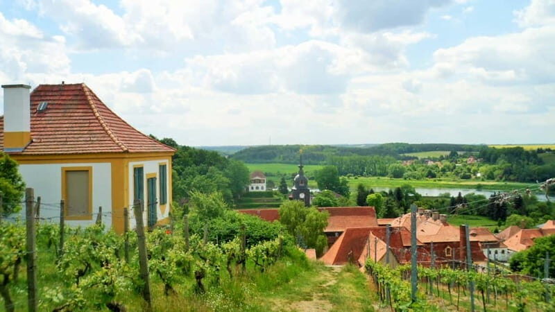 Dresden: Boat Cruise with Wine Tasting and Snacks - Saxony’s Small Wine Region: What You Learn on the Hike