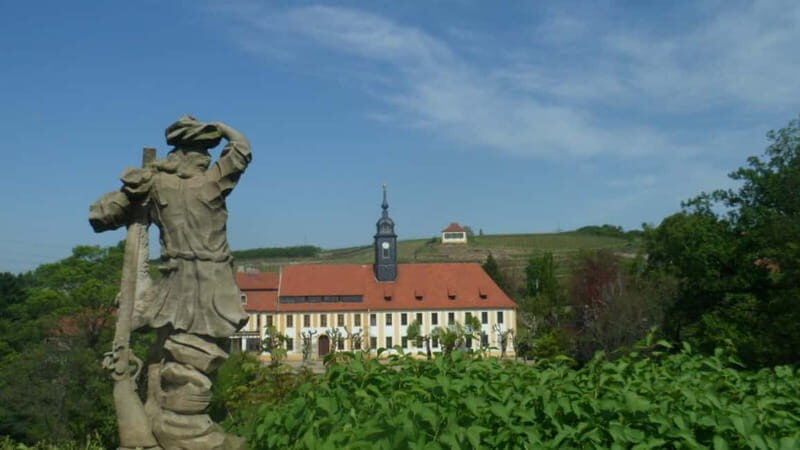 Dresden: Boat Cruise with Wine Tasting and Snacks - Wine Tasting in the Heart of the Vineyards: 5 Samples + Snacks