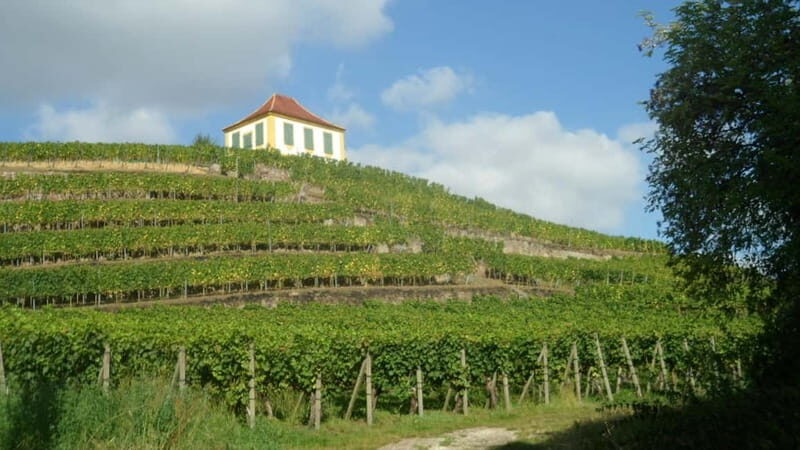 Dresden: Boat Cruise with Wine Tasting and Snacks - Timing, Return to Dresden, and Motion Comfort Tips