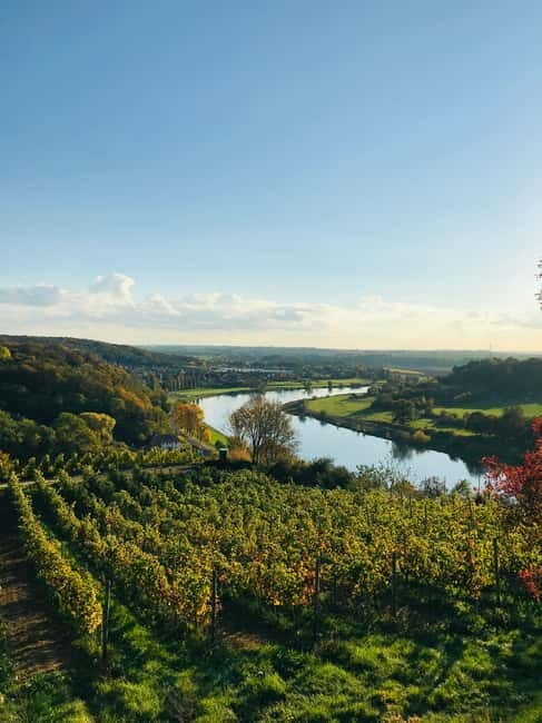 Dresden: Boat Cruise with Wine Tasting and Snacks - What’s Included (and Why It’s Good Value Without Overhyping)