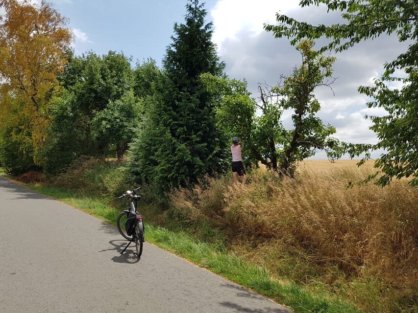 Dresden: E-Bike Tour and Dresden Heath Forest Trails - Price and value: why $62 can make sense here