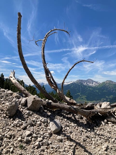 Ehrwald: Hiking Tour into breath taking Nature - Rules That Matter: Drones and Safety Basics