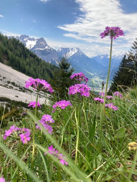 Ehrwald: Hiking Tour into breath taking Nature - Price and Value: Is $81 Worth It?