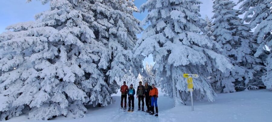 Ehrwald: Zugspitze Snowshoe Hiking Tour with Mountain Views - Quick hits before you go