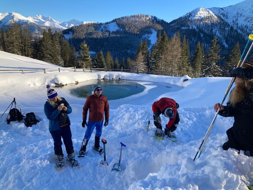 Ehrwald: Zugspitze Snowshoe Hiking Tour with Mountain Views - Meeting Point at Ebne 5: A Simple Start in Winter