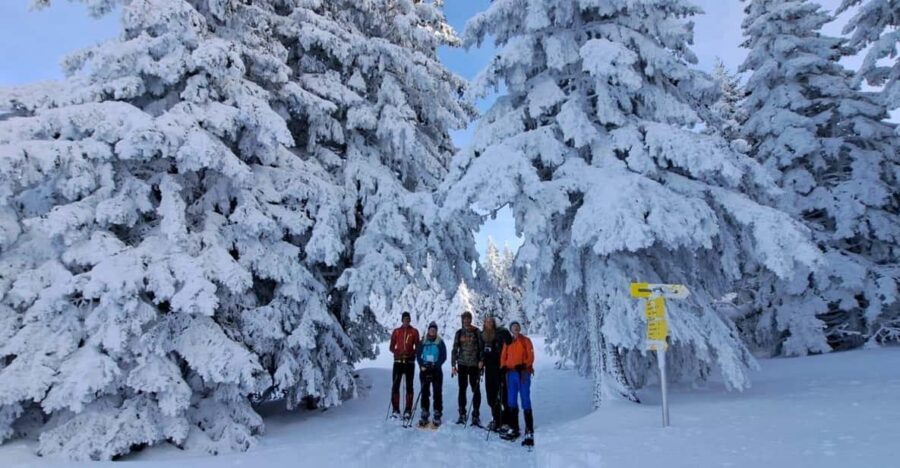 Ehrwald: Zugspitze Snowshoe Hiking Tour with Mountain Views - When Snow Is Thin: Hiking With Crampons Instead