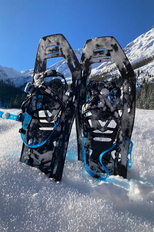 Ehrwald: Zugspitze Snowshoe Hiking Tour with Mountain Views - Price and Value at About $80 Per Person