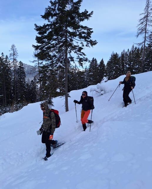 Ehrwald: Zugspitze Snowshoe Hiking Tour with Mountain Views - What to Bring (So You Don’t Freeze or Rush)