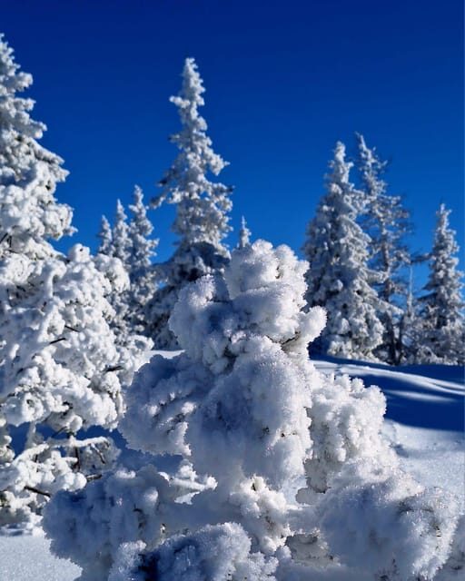 Ehrwald: Zugspitze Snowshoe Hiking Tour with Mountain Views - Who This Tour Fits Best (And Who Should Skip It)
