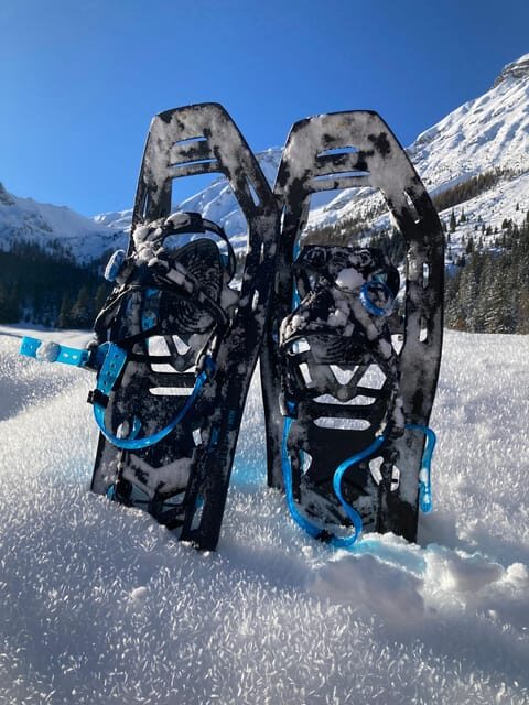 Ehrwald: Zugspitze Snowshoe Hiking Tour with Mountain Views - What the 2-Hour Snowshoe Hike Actually Feels Like