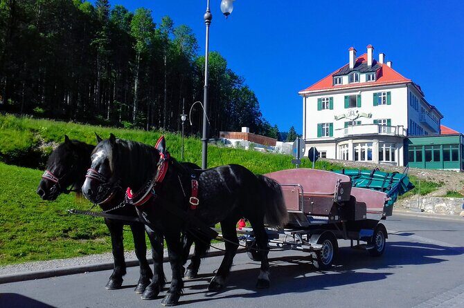 EXCLUSIVE 3 Royal Castle SKIP-THE LINE Tour of Neuschwanstein + Linderhof + Hohenschwangau from Munich - Oberammergau: a short guided culture stop plus free time for local shopping