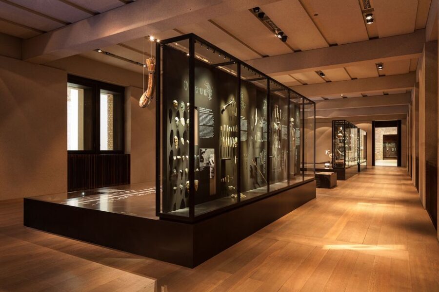 Expert Archaeological tour of the Neues Museum - A fast way through the Neues Museum’s time-jump