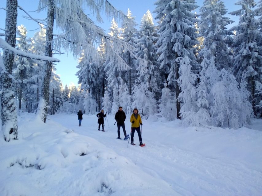 Fichtelgebirge: snowshoe hike - Key moments you’ll care about