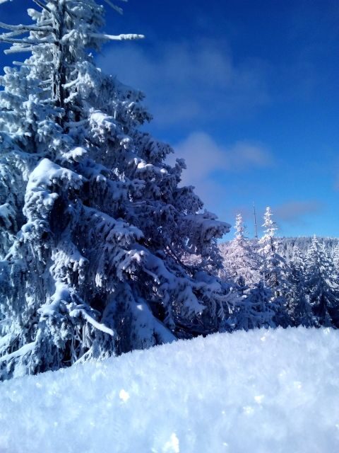 Fichtelgebirge: snowshoe hike - Why Fichtelgebirge snowshoeing feels different than hiking