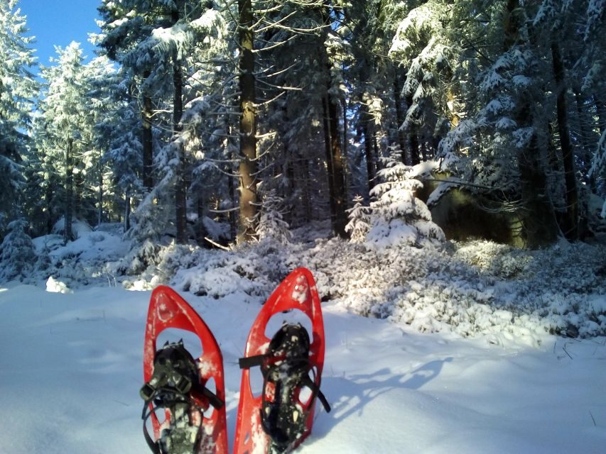 Fichtelgebirge: snowshoe hike - The walk itself: about 5 km, beginner-friendly, and paced for real snow
