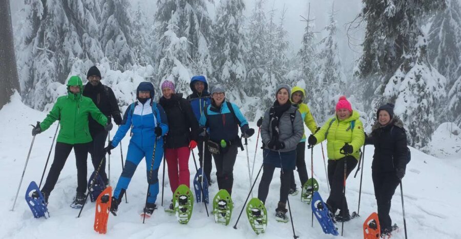 Fichtelgebirge: snowshoe hike - Weather, snow, and the deep-snow guarantee reality check