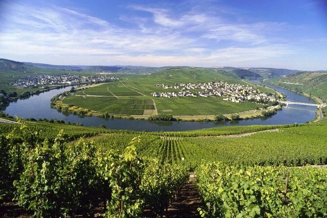 For the love of Riesling - Mosel Wine tour - Key highlights you’ll care about