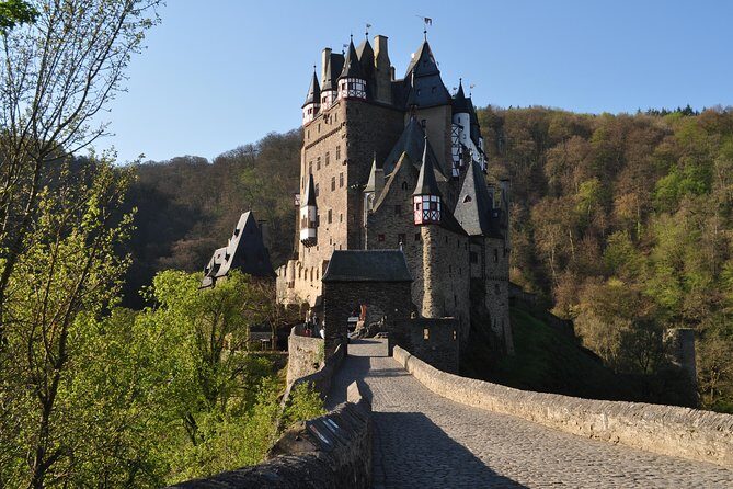 For the love of Riesling - Mosel Wine tour - Meet Carl and set up your day in the Mosel