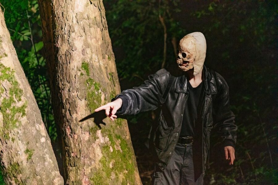 Franfurt Horror Tour: Terror of the White Spider - Who this tour is best for (and who should skip)